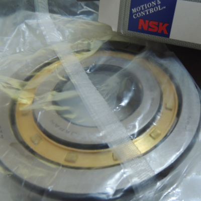 NSK NJ411 bearings