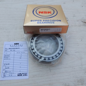 NSK NN3013 bearings