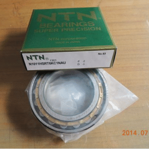 NTN N1011 bearings