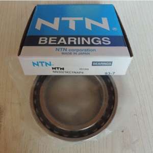NTN NN3021 bearings